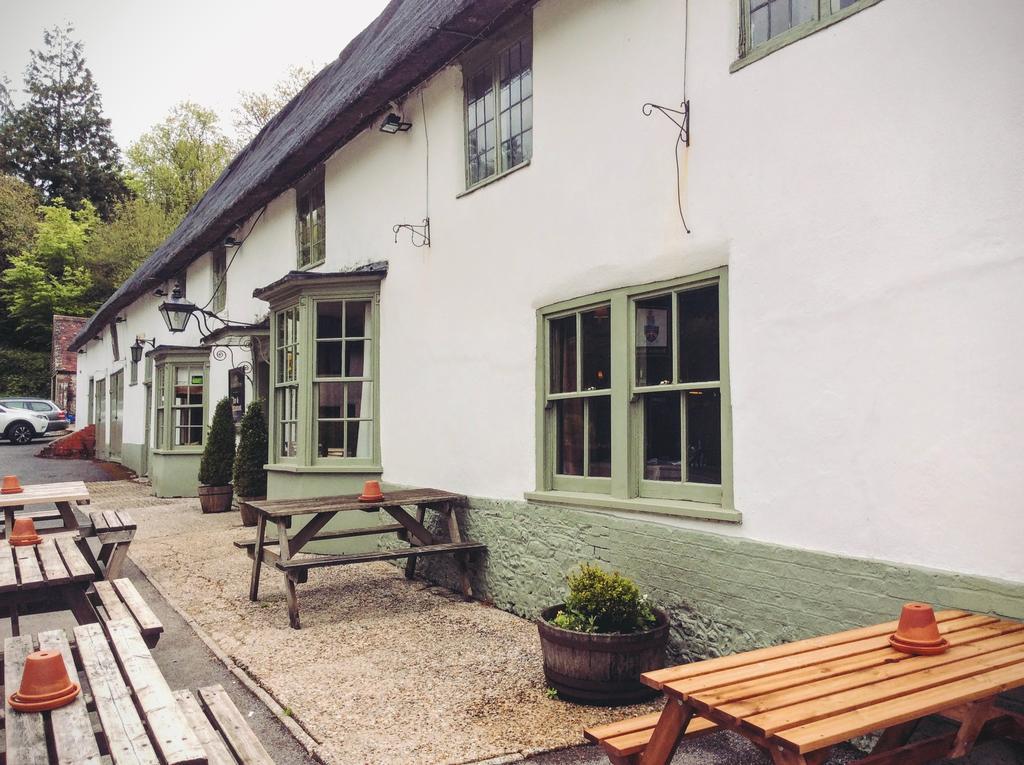 ホテル Hambro Arms Milton Abbas エクステリア 写真