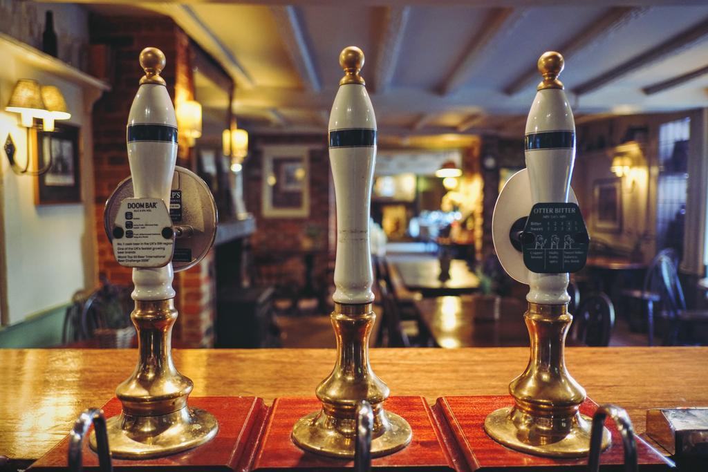 ホテル Hambro Arms Milton Abbas エクステリア 写真