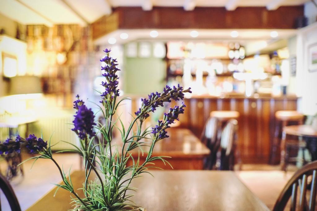 ホテル Hambro Arms Milton Abbas エクステリア 写真
