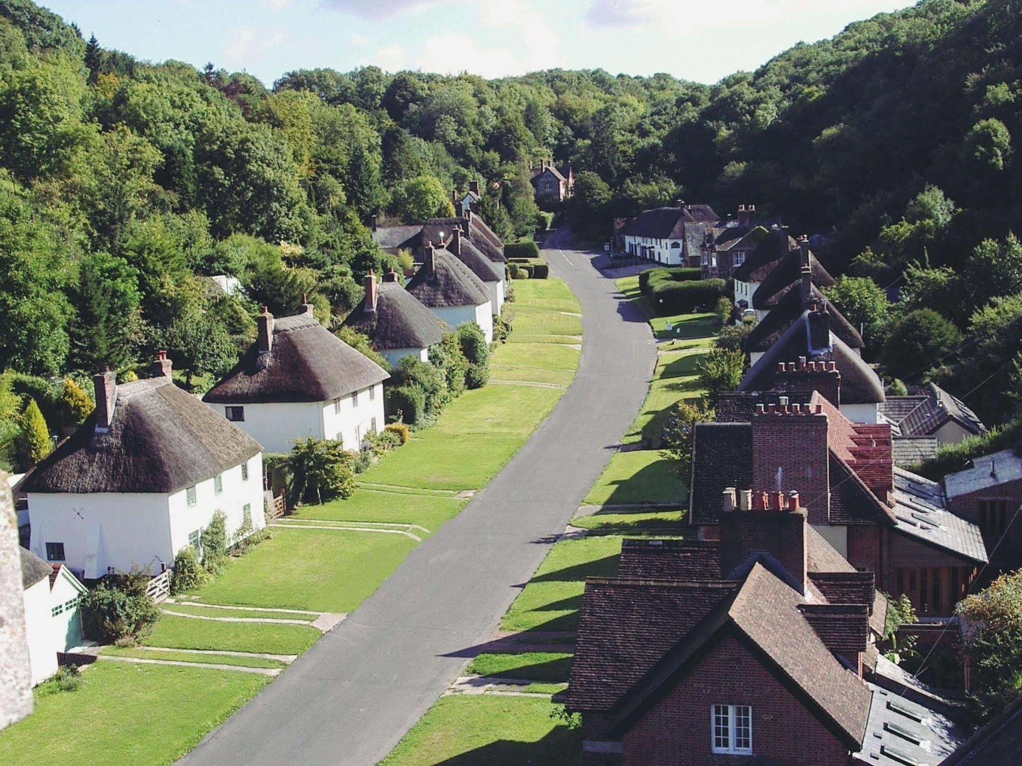 ホテル Hambro Arms Milton Abbas エクステリア 写真
